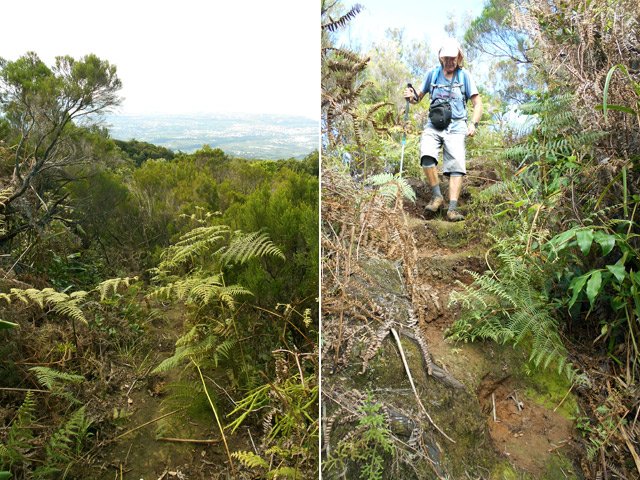 Belles vues sur l'océan depuis un sentier de plus en plus marqué