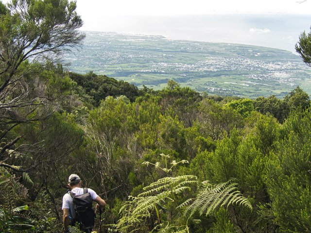 Traversée d'une zone couverte de branles verts