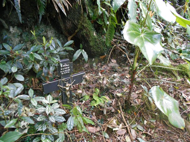 Une croix commémorative de la mort de Mario PAYET, mort en 2004 à 63 ans