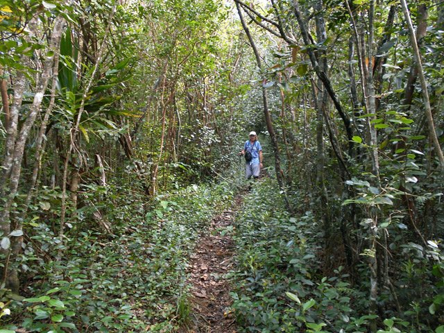 Belle partie plate à l'approche des premières cultures
