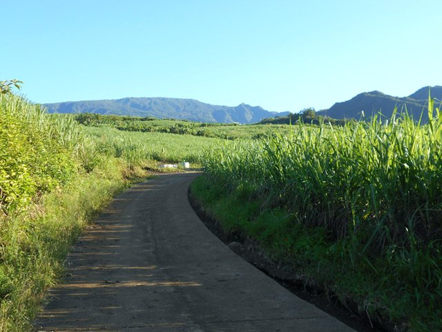 La Chaîne du Bois de Nèfles et les hauts des Makes depuis la route de la Pièce Jeanne