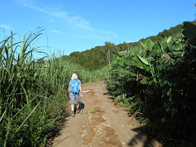 Des tronçons de la piste ont été défoncés par les pluies de Berguitta