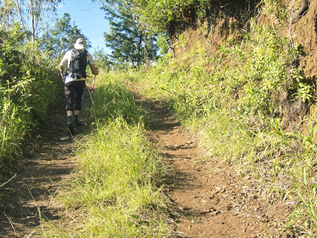 La pîste herbeuse entre la route et le sentier de la Pièce Jeanne