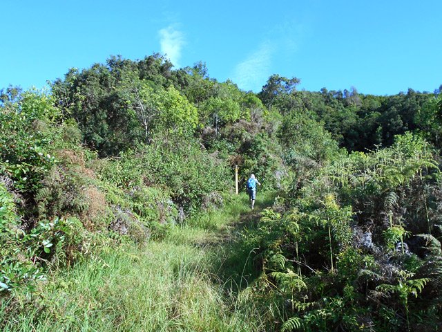 Les panneaux de l'ONF sont placés au départ du sentier