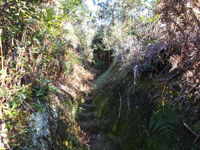Le sentier débute par des lacets et marches glissantes