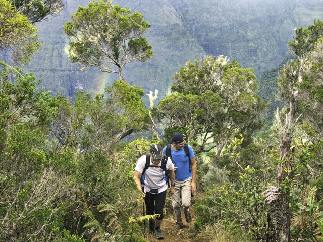 Les branles sont remplacés peu à peu par les bois de couleurs