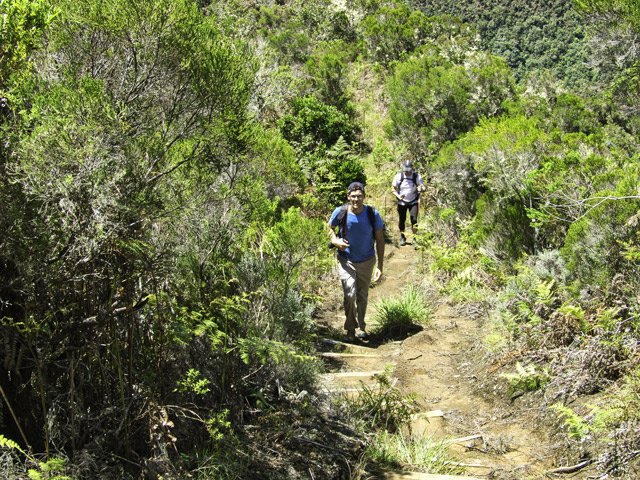 Une des dernières pentes pour atteindre le Piton Bâtard