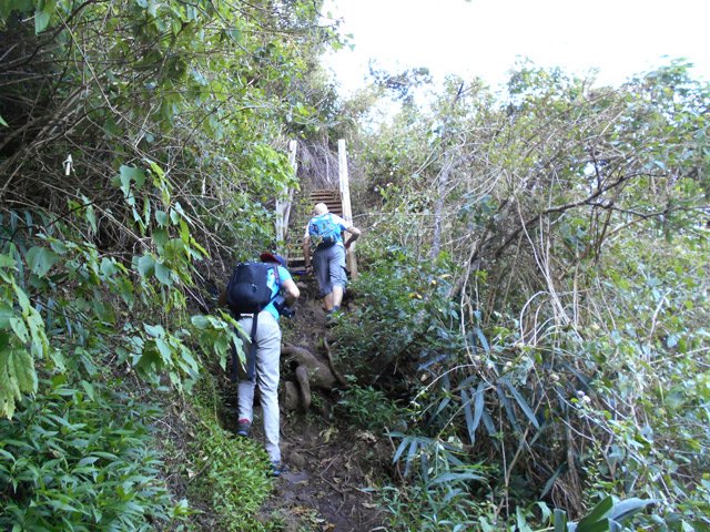 Le sentier vers la Roche Verre Bouteille est peu entretenu