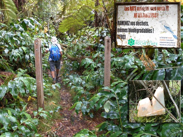 Début de la descente vers la RF de la Plaine d'Affouches
