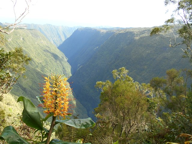 Magnifiques points de vue sur la Rivière Saint-Denis