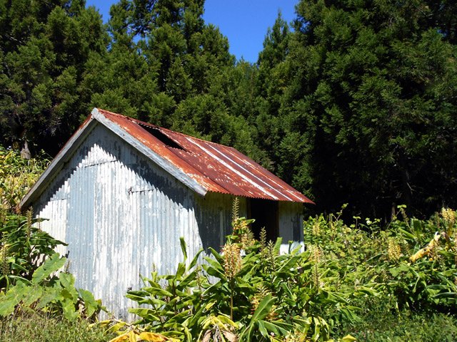 Un ancien camp qui souffre beaucoup de solitude