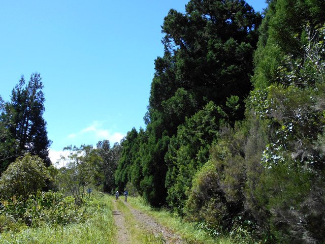 La piste entre deux parties de sentier