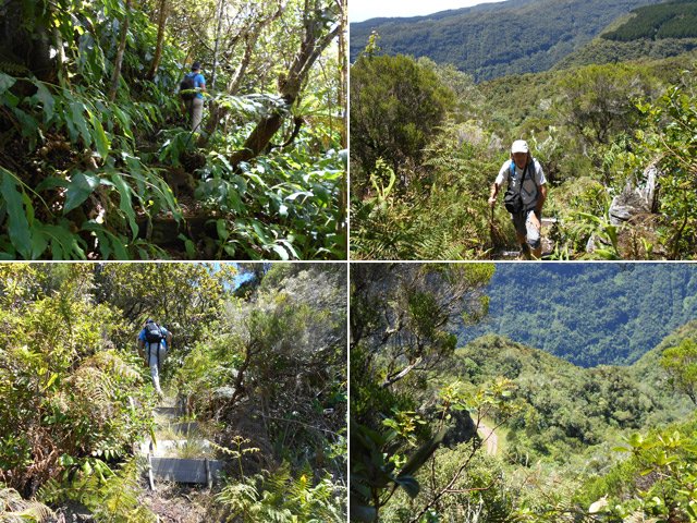 Quelques idées du sentier de raccourci de plus en plus abandonné