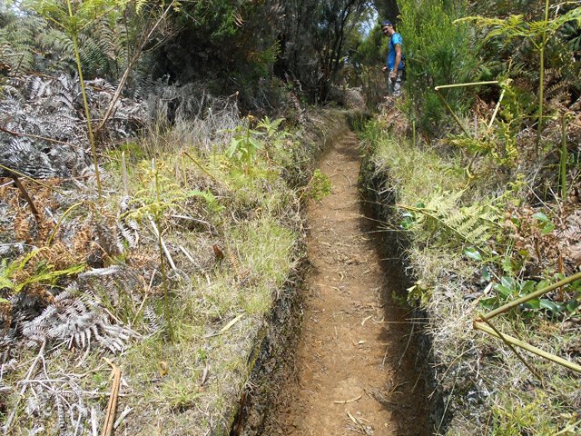 Certains signes indiquent que le sentier est fréquenté