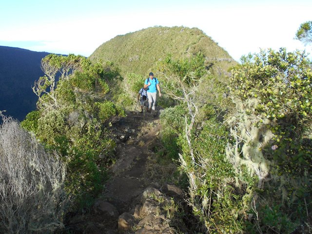 La montée vers le Piton Fougères débute le long de l'arête