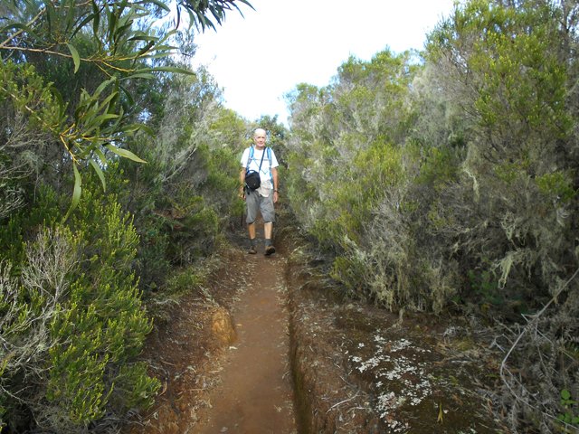 Quelques portions plates très agréables dans les branles verts