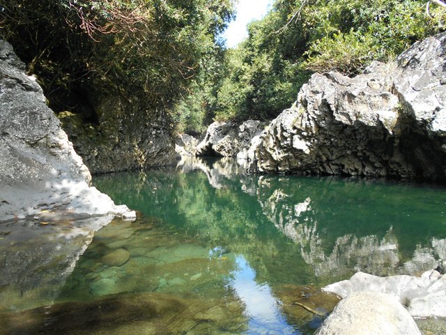 Certains bassins, larges et transparents, se prêtent à la baignade