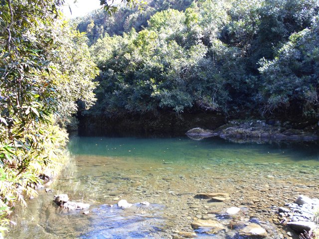 Le long bassin oblige à passer par la forêt de jamrosats