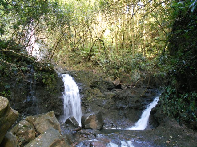 Les ravines Deshaye et la Borne finissent à quelques mètres du Bassin la Paix