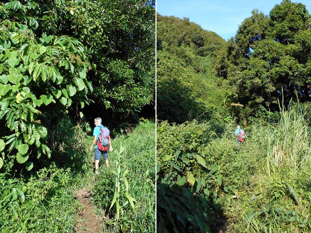 Il faut parfois utiliser le sentier classique