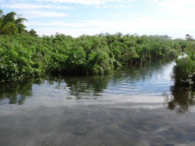 Très peu de fond pour les amateurs de trempettes