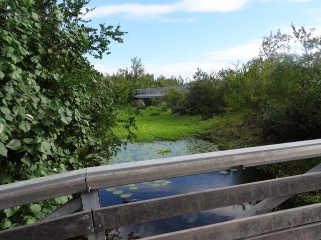 Petite passerelle au-dessus d'un bras de l'étang