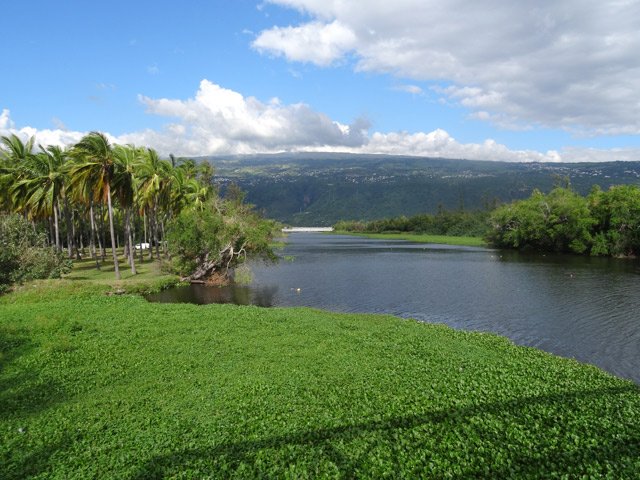 Au loin, le moulin à eau, invisible dans l'alignement de l'étang Saint-Paul