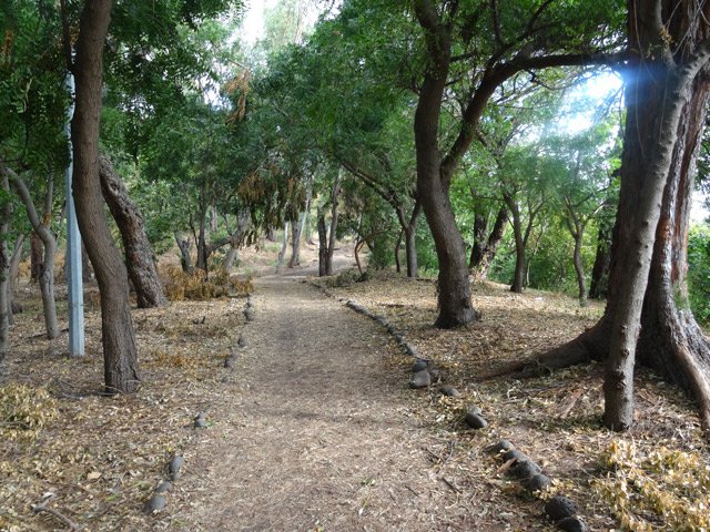 Cheminement très aisé en bord d'océan sur le parcours sportif