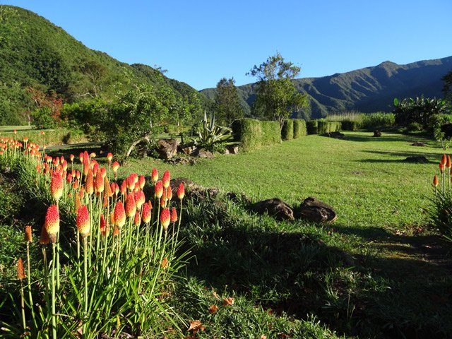 On est accueilli par des belles touffes de tisons de Satan