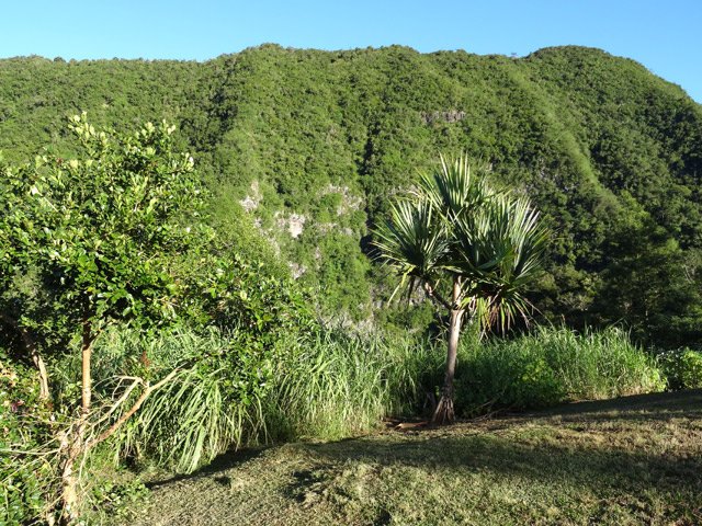 On domine la profonde vallée de la Ravine Bellevue