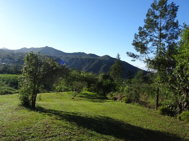 Belles vues sur la chaine du Bois de Nèfles