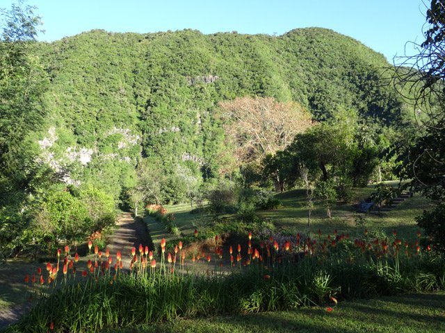D'autres pistes dans le parc