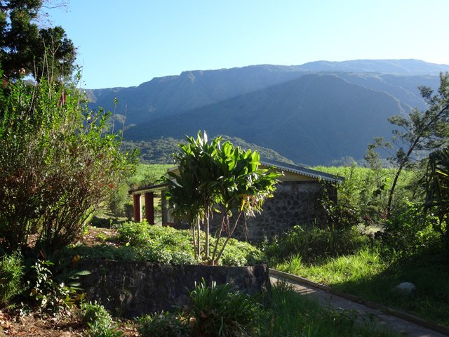 Les pentes recouvertes de forêt vers la Scierie