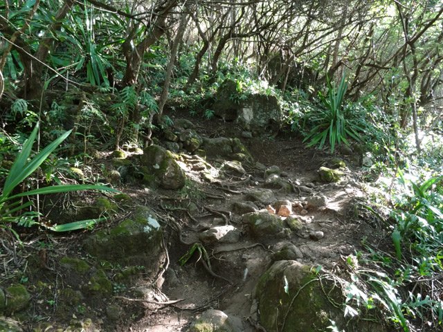 Le sentier en lacets de Coteau Sec est très caillouteux