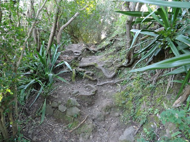Forte montée vers l'Impasse des Hibiscus