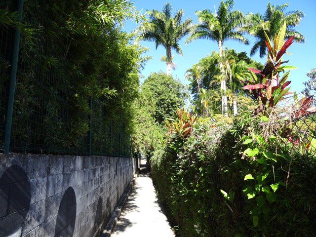 La ruelle qui longe l'arboretum et rejoint la mairie