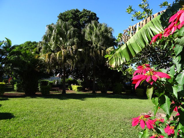 Agréable promenade dans le Jardin Fontaine