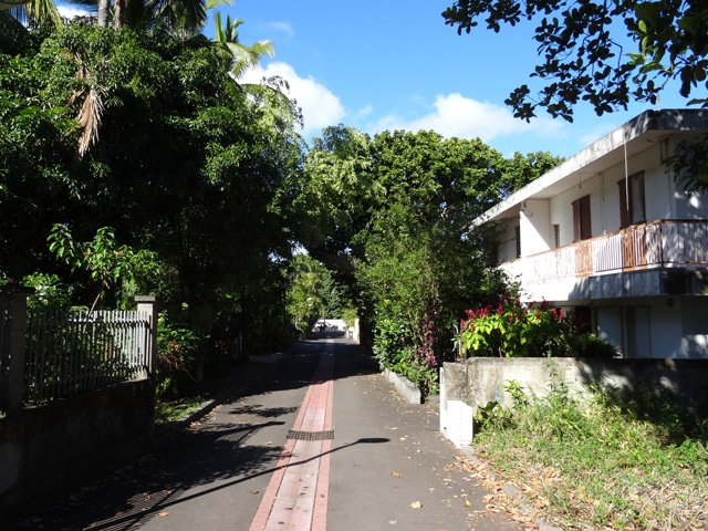 La Rue des Orchidées en direction de la Case Pamplemousse