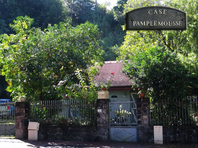 On voit mieux les pamplemousses que la petite case typique