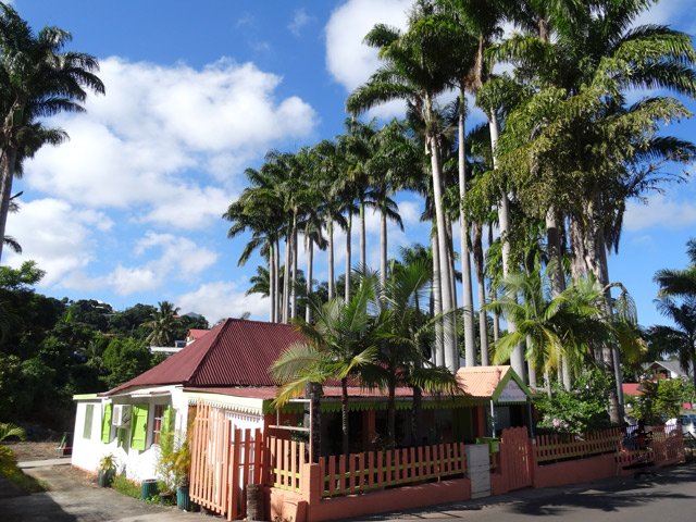 Cases et palmiers royaux de la Rue de l'Eglise