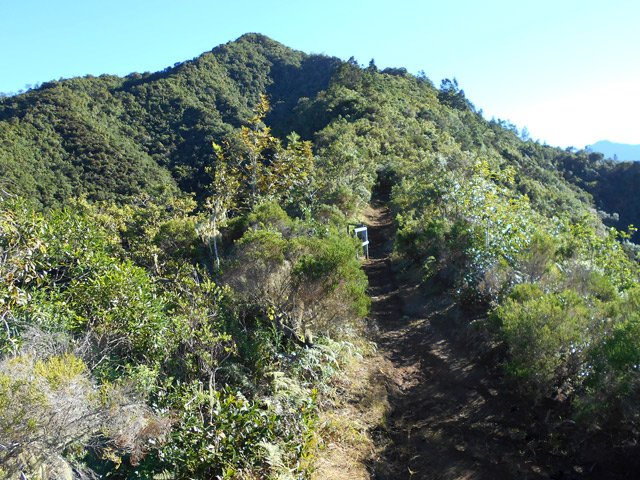 On est proche des 1369 m de la Butte Fougères