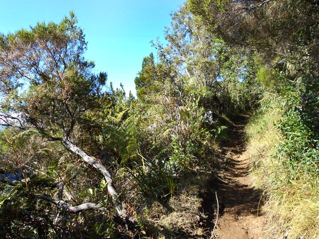 Une idée du sentier sur une agréable portion plate avec panoramas