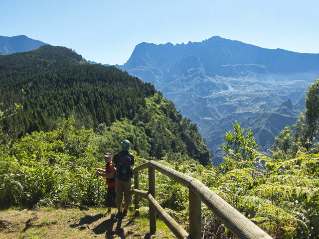 Le Piton Cabris et ses flancs couverts de cryptomerias