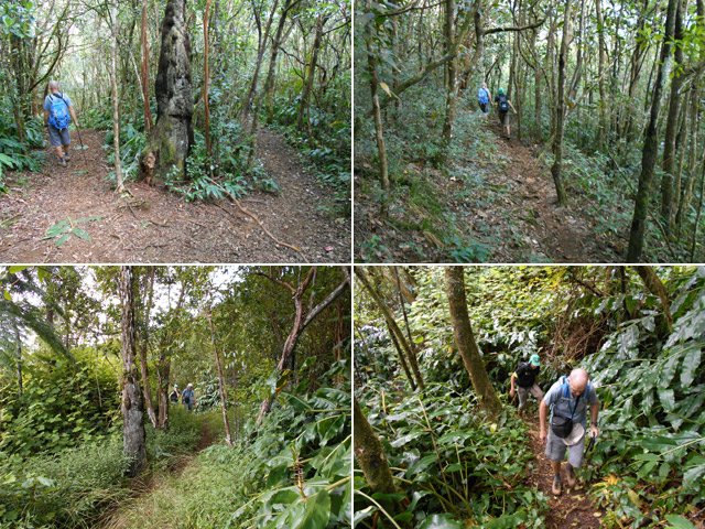 Quelques portions du sentier de descente vers les Canots