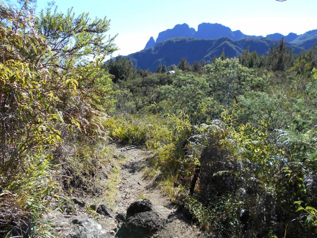 Le sentier avant la forêt de filaos