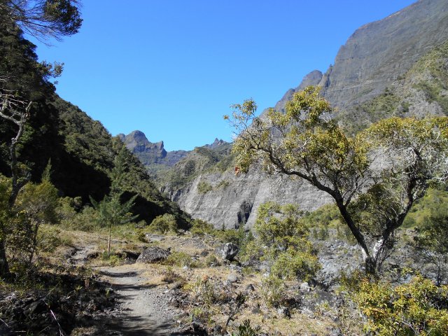Agréable sentier bordé de petits bois de rempart