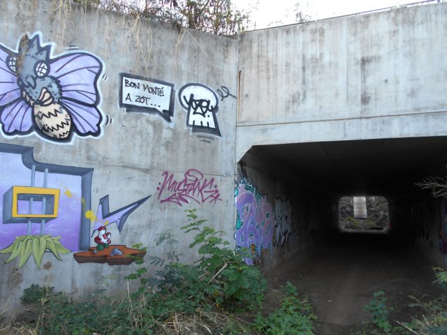 Passage sous la RN1. La palette au fond sert aux vététistes