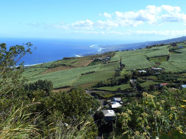 Magnifiques panoramas sur l'océan, le lagon et les champs de canne