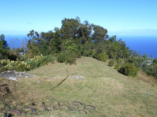 Filer sous les eucalyptus pour trouver le sentier de descente