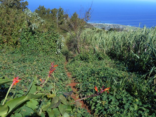 Il est toujours bien marqué avec vues sur l'océan